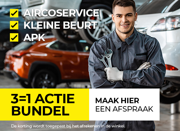 3=1 apk, kleine beurt + Aircoservice (r134a)  van € 407 voor € 299,-