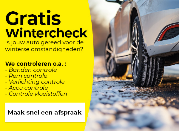 Doe de gratis wintercheck